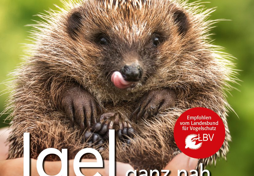 Igelbuch: Igel ganz nah