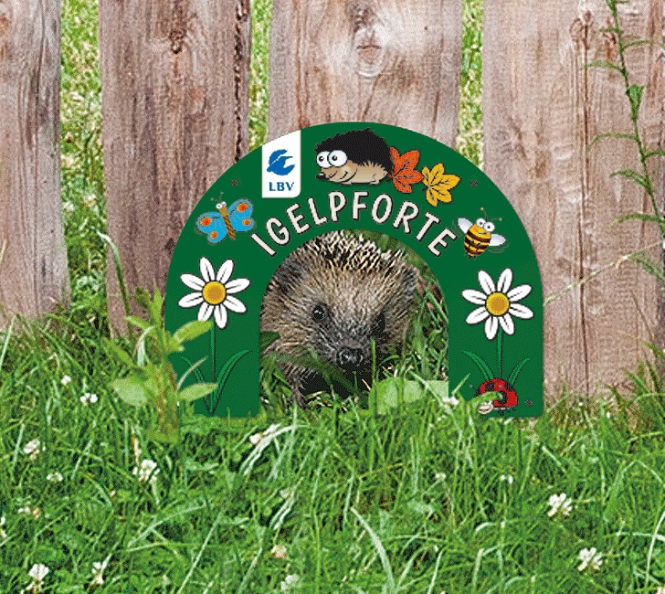 Igelpforte-LBV Igelpforte im Zaun