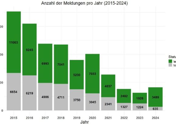 Balkendriagramm mit Anzahl der Igelmeldungen für einzelne Jahre 2015-2024