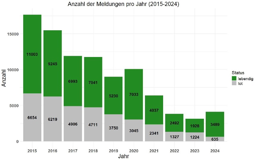 Meldungen pro Jahr 2015-2024 Balkendriagramm mit Anzahl der Igelmeldungen für einzelne Jahre 2015-2024