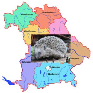 Bayernkarte mit Igel