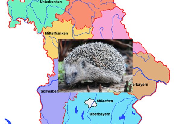Bayernkarte mit Igel